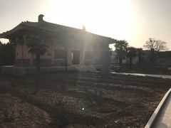 -洛阳古墓博物馆