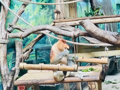 -广州长隆野生动物世界