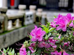 -惠山古镇·寄畅园