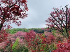 -鹿亭中村