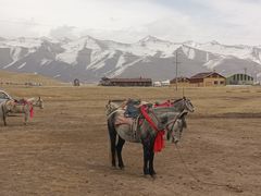-祁连山·岗什卡雪峰景区