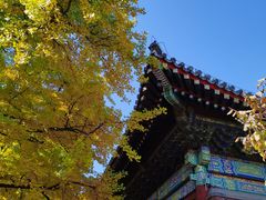 -红螺寺