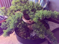 -百富源·海鲜辽菜(和平北大街店)