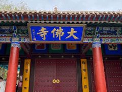 -张掖大佛寺景区