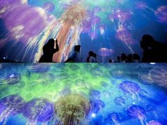 -烟台海昌鲸鲨海洋公园