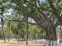 -白沙门生态公园