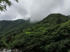 -东天目山风景区