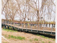 -东郊湿地公园