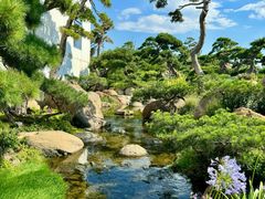 -罗红摄影艺术馆