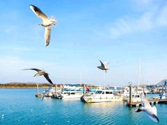 -日照灯塔风景区