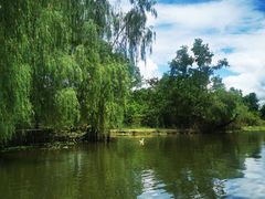 -会仙湿地