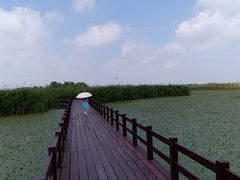 -宁波杭州湾国家湿地公园