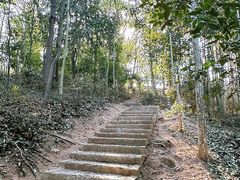 -上海佘山国家森林公园天马山园