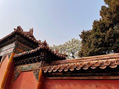 -故宫博物院(故宫)