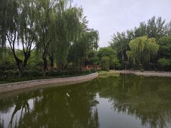 -西安市长乐公园