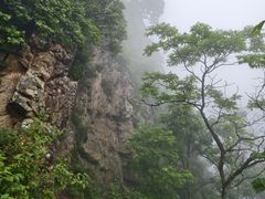 -帽儿山风景区