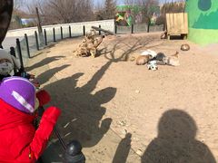 -鄂尔多斯野生动物园