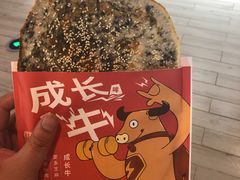 -汇德隆银隆