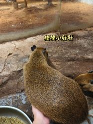 -Zoolung Zoolung动物主题公园(海信广场店)