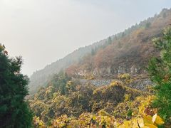 -府君山公园