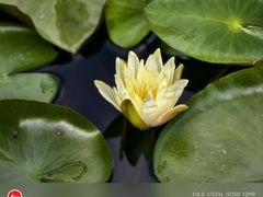 -白鹭湾湿地公园