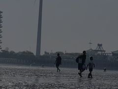 -奉贤海滩