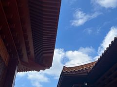 -深圳仙湖植物园
