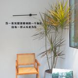 赣州探店|集時行樂“咖啡&服装集合店”