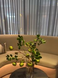 点击看大图 -美壹生皮肤管理中心
