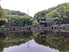 -忠山公园