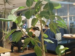 -花舍·新派粤菜·西餐·下午茶(亚运村·鸟巢店)