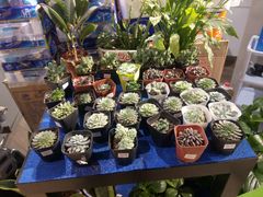 -王府井百货(中州中路店)