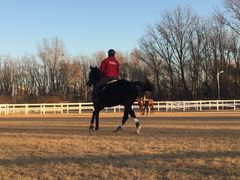 -月河湾马术俱乐部(朝阳店)