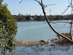 -长广溪湿地公园