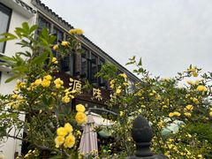 -树山生态村