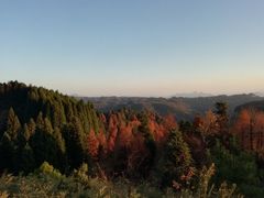 -山王坪喀斯特国家生态公园