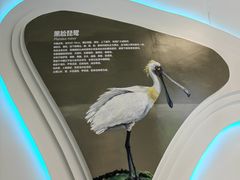-大连市规划展示中心
