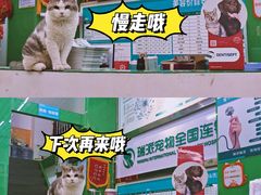 -瑞派动物医院·猫专科·至诚(江南中分院)