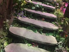 -范设计花园餐酒咖·中西餐·咖啡厅·酒馆