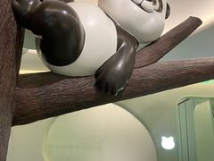 -眉州东坡·熊猫主题餐厅(枫蓝店)