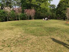 -南山植物园