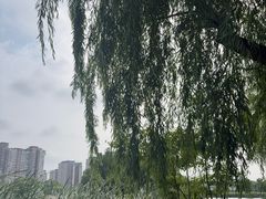 -新江湾城公园