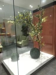 -圣轩·诗安国际母婴会所(渝中店)