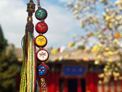 -西安市广仁寺
