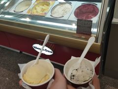 -哈根达斯(天河城店)