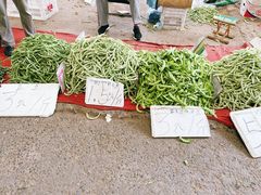-大连双兴商品城