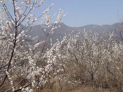 -白水寺森林公园