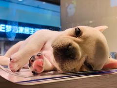 -乐宠宠物店(世纪金源店)