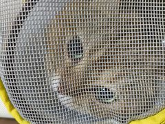 -谐和贝康宠物医院24小时·宠保定点(急重症转诊中心)