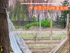 -安德鲁户外烧烤帐篷营地(马泉营店)